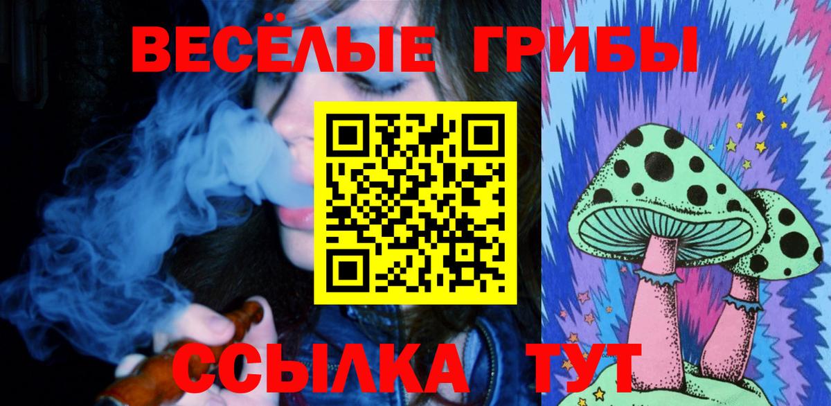 Заинск  Псилоцибиновые грибы Magic Shrooms  Вход с VPN 